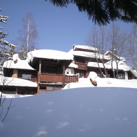 Apartments Carevo Polje Zlatibor Buitenkant foto