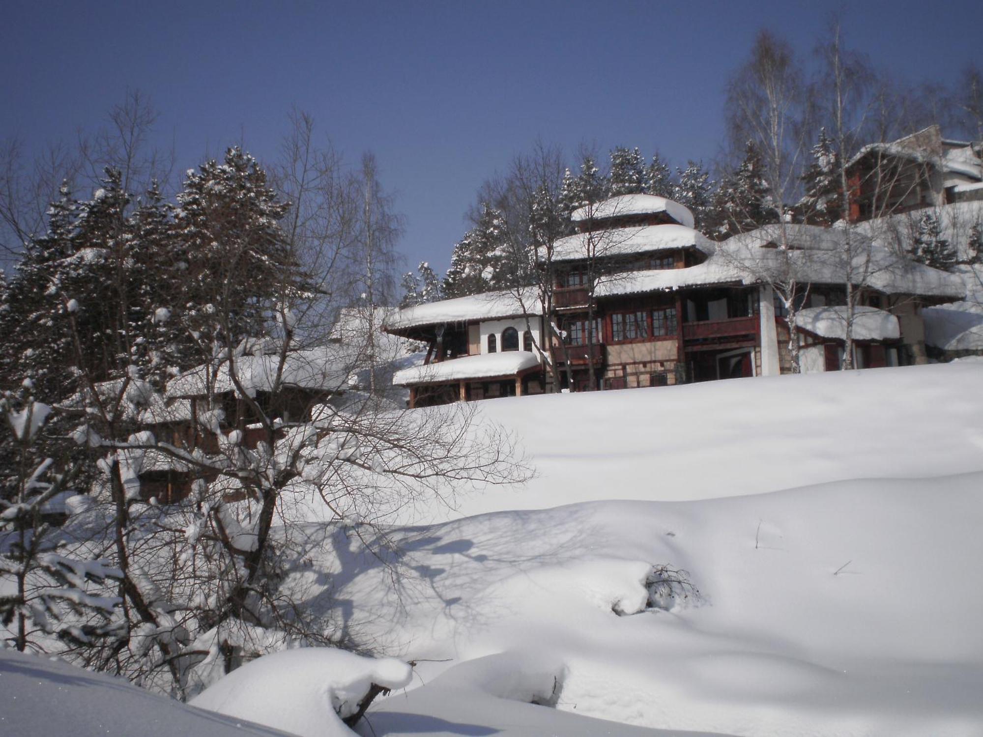 Apartments Carevo Polje Zlatibor Buitenkant foto