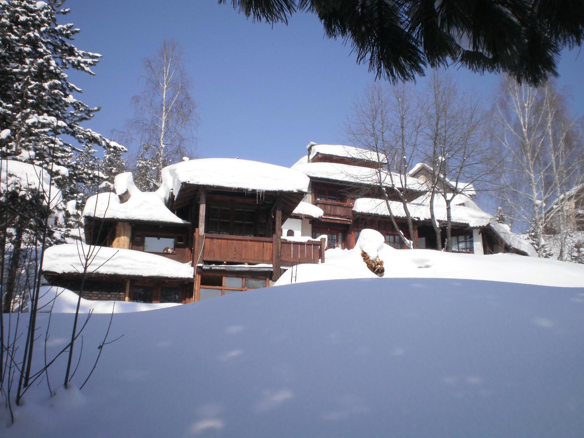 Apartments Carevo Polje Zlatibor Buitenkant foto