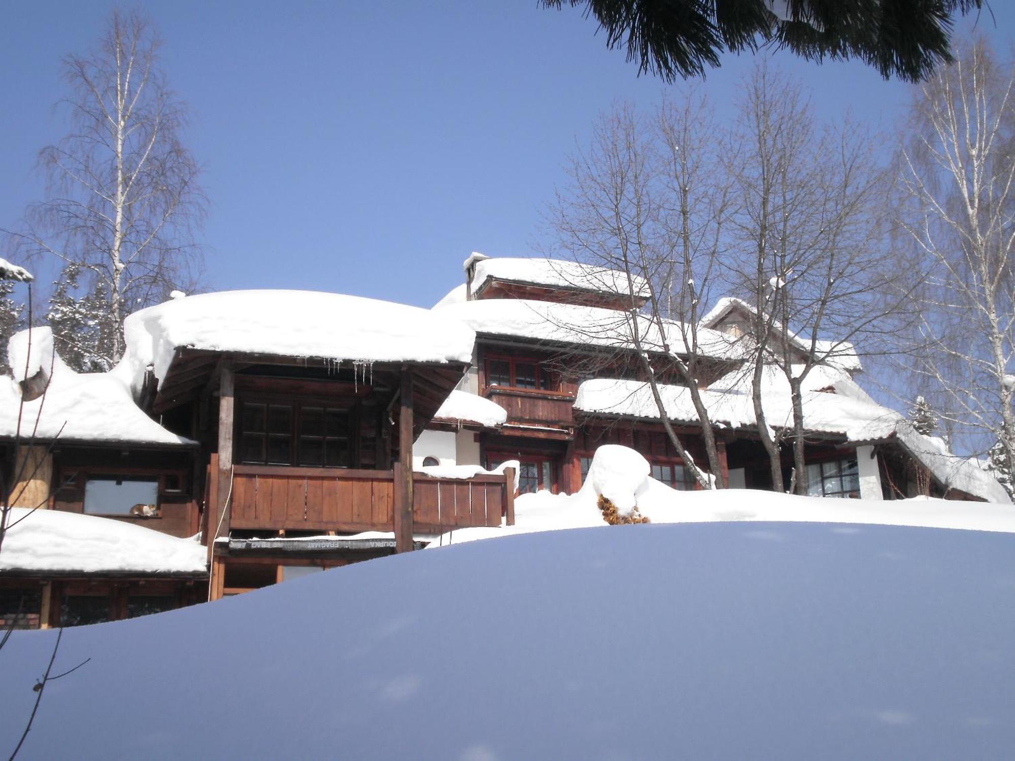 Apartments Carevo Polje Zlatibor Buitenkant foto