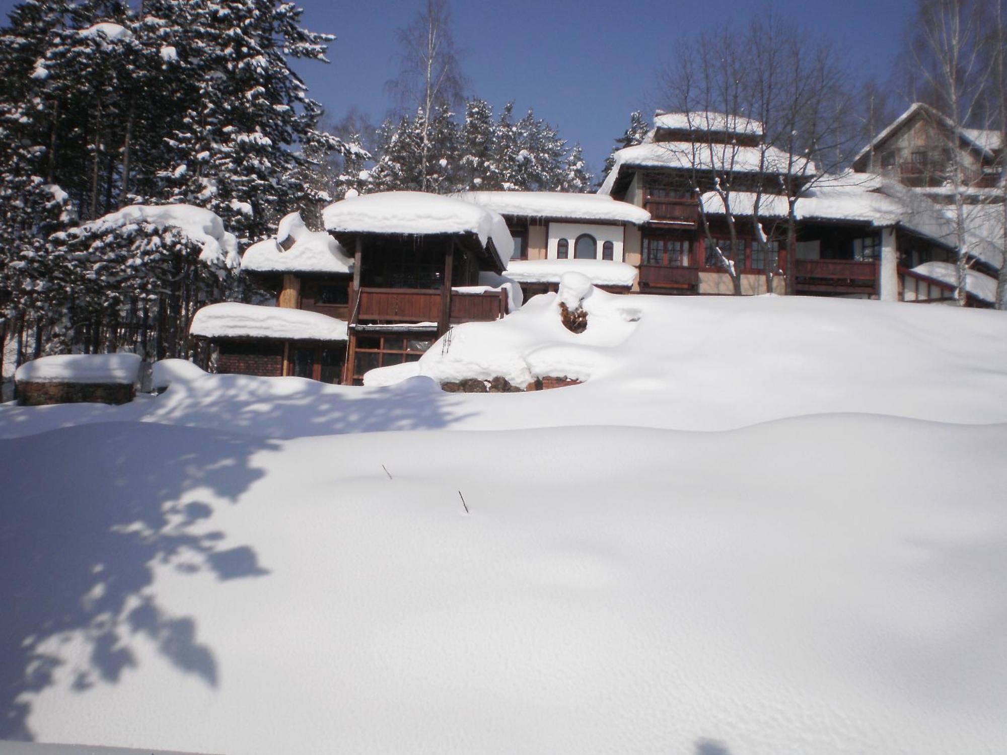 Apartments Carevo Polje Zlatibor Buitenkant foto