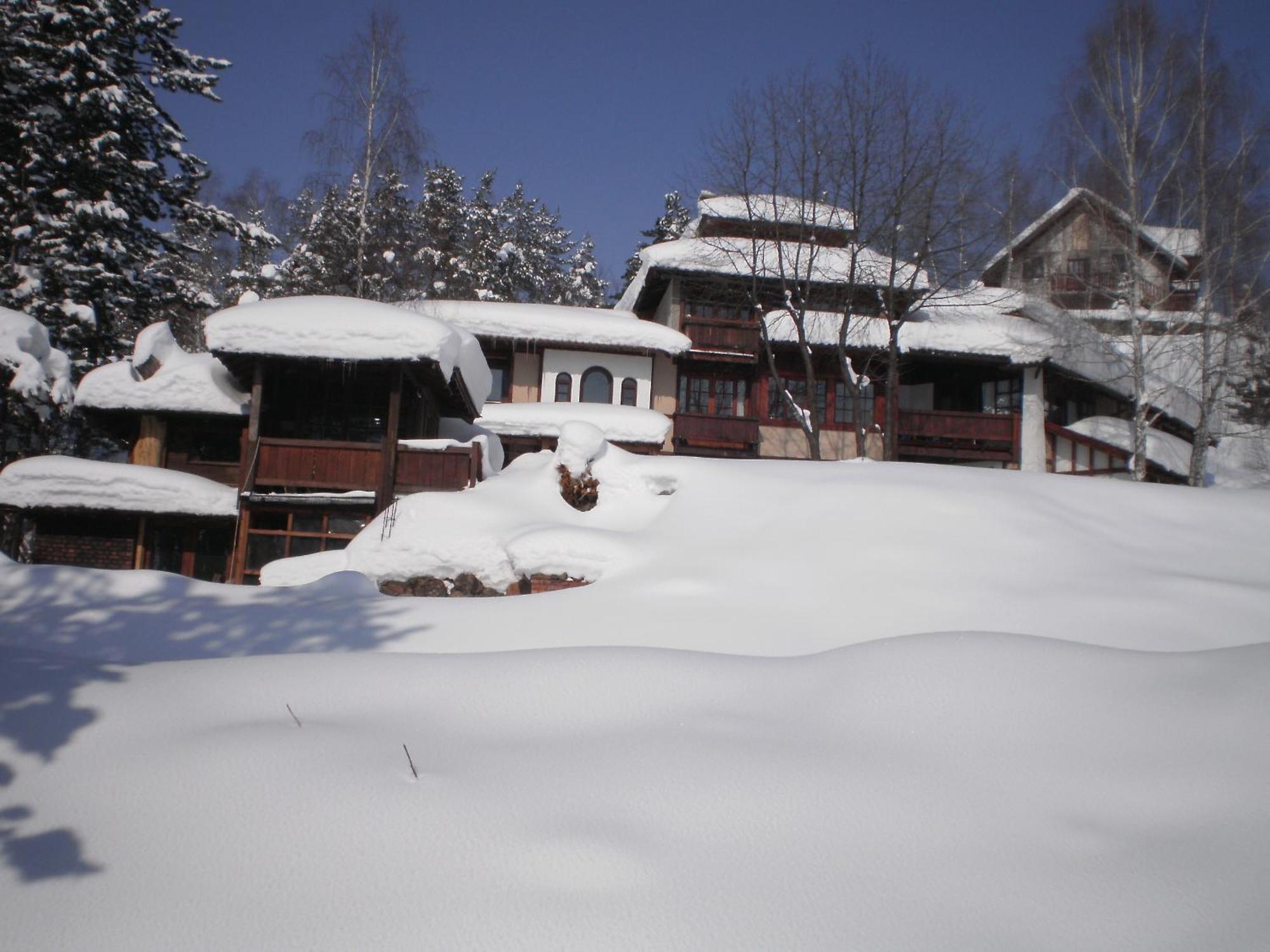 Apartments Carevo Polje Zlatibor Buitenkant foto