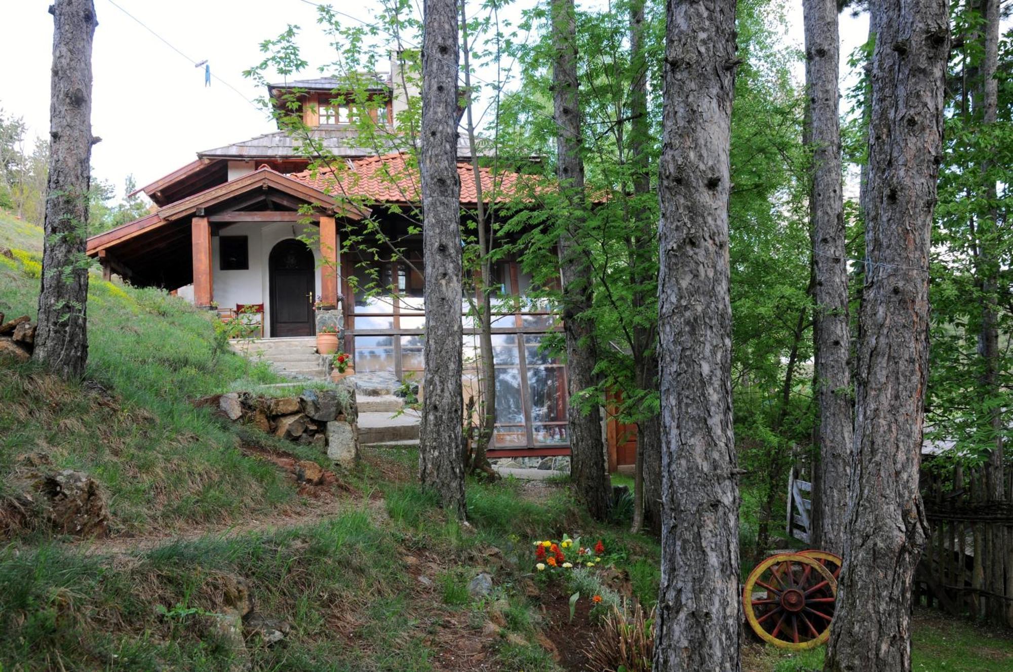 Apartments Carevo Polje Zlatibor Buitenkant foto